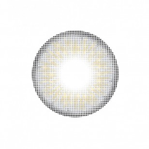 Pristea Gray(月拋)